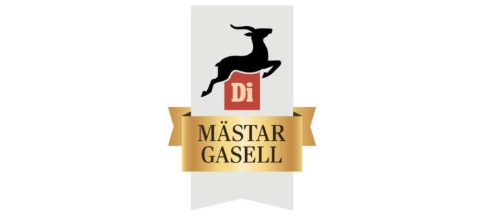 di-gasell-logo-mnstargasell-1-768x1058