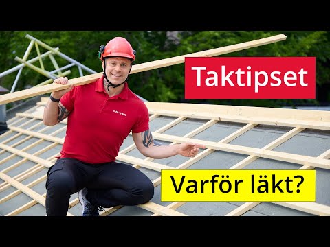 Taktipset – Varför läkt?