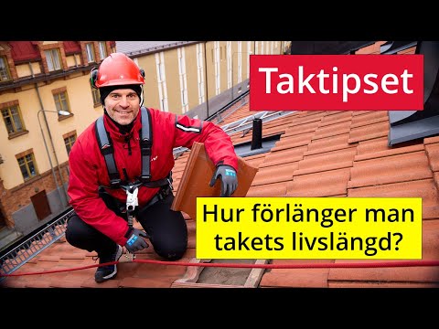 Taktipset – Hur förlänger man takets livslängd?